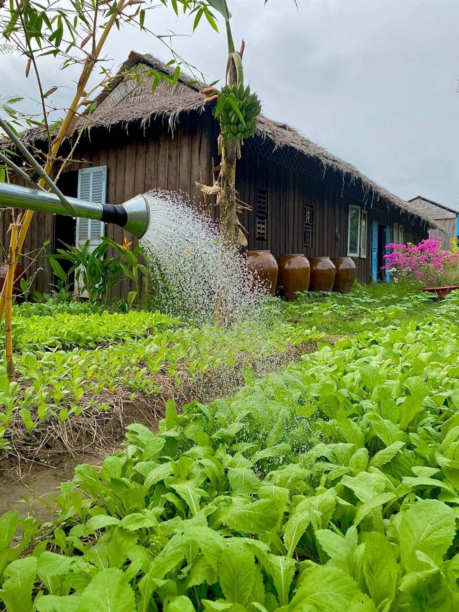 Mekong Silt Ecolodge Кантхо Екстер'єр фото