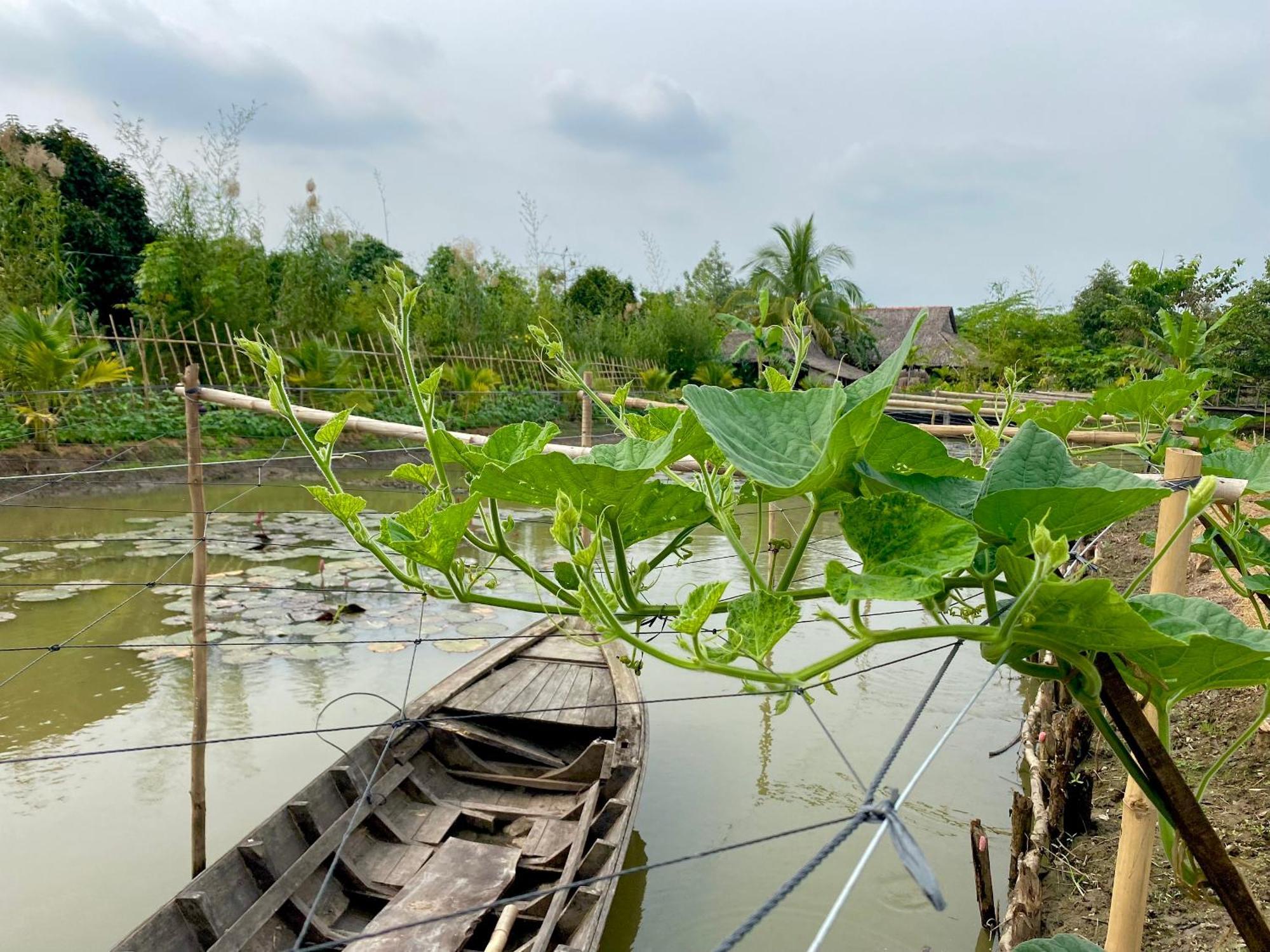 Mekong Silt Ecolodge Кантхо Екстер'єр фото
