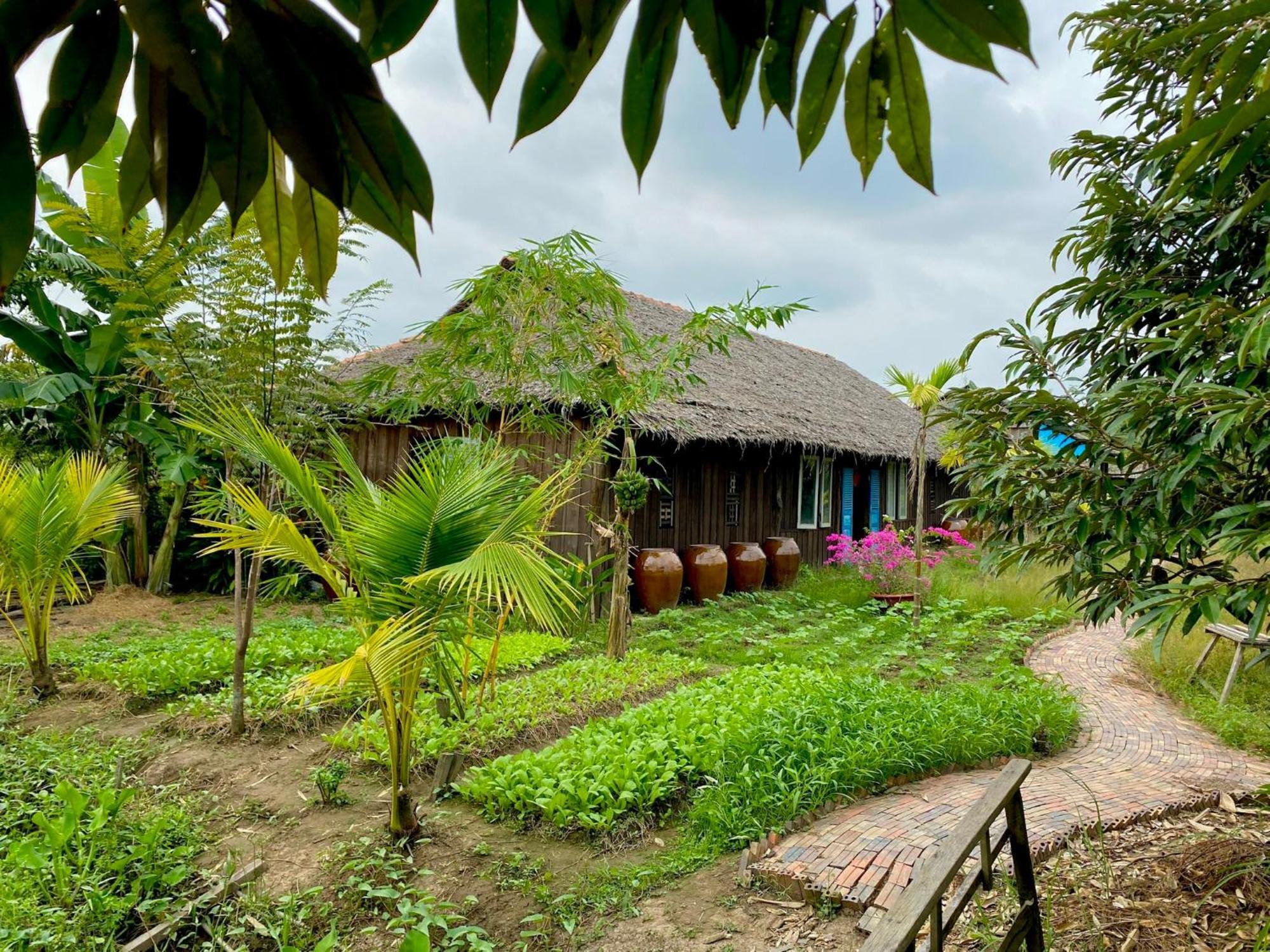 Mekong Silt Ecolodge Кантхо Екстер'єр фото